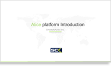 Overseas Business Areas img